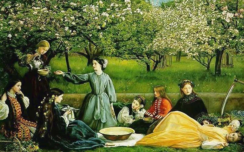 Apple Blossoms